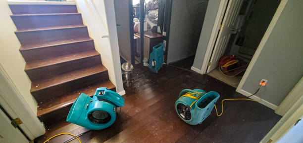 Best Water damage contractors near me  in Germantown, OH