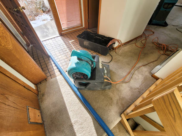 Best 24/7 water damage repair  in Germantown, OH