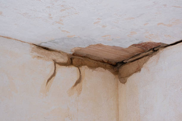 Best Ceiling water damage repair  in Germantown, OH