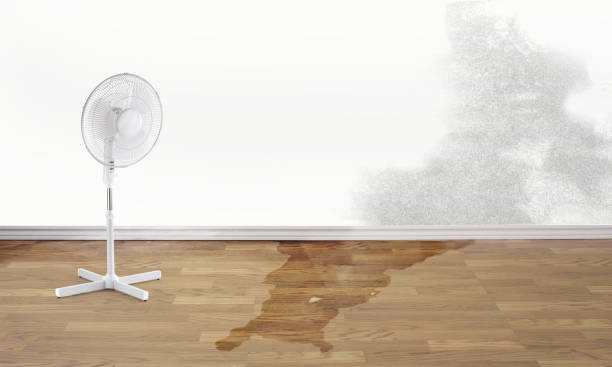Best 24-hour water damage restoration  in Germantown, OH